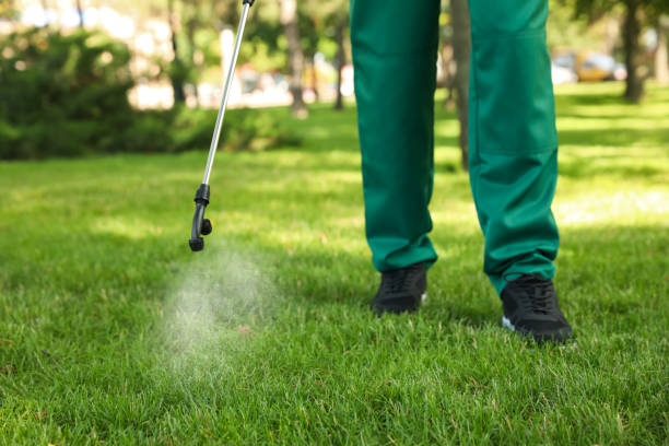 Best Pest Control Near Me  in Eagle, CO