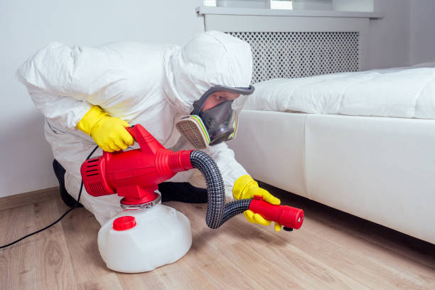 Best Local Pest Control Services  in Eagle, CO