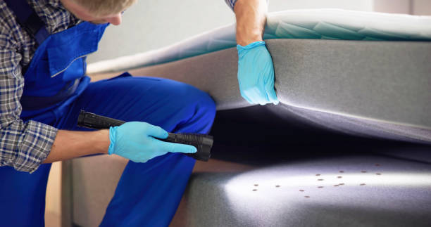 Best Affordable Pest Control Services  in Eagle, CO